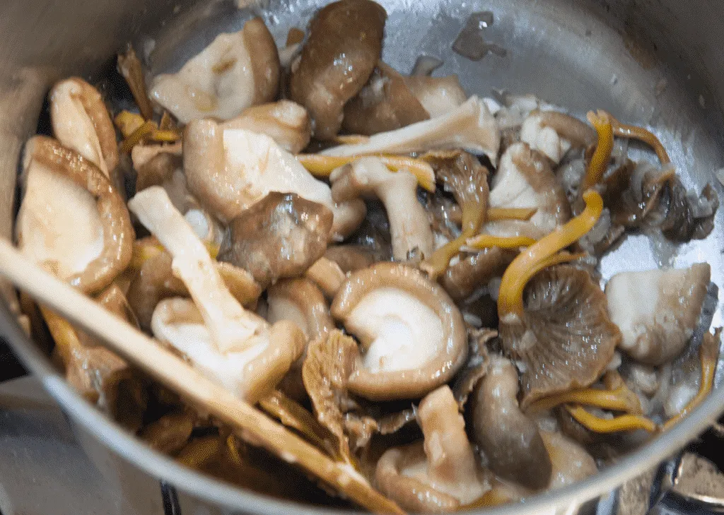 wild mushrooms