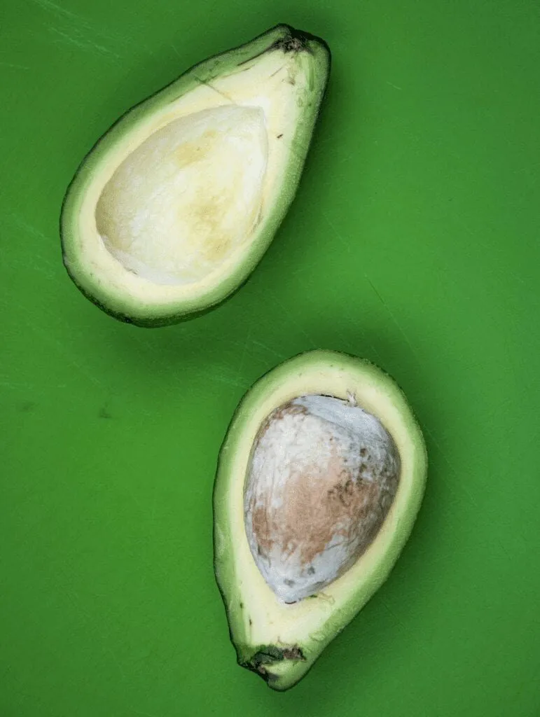 halved avocado