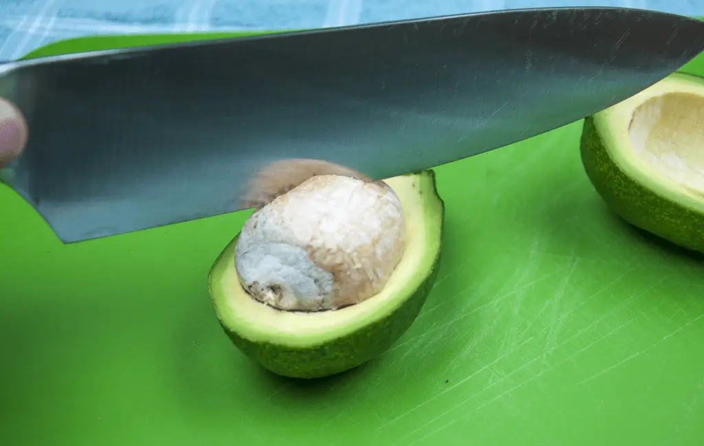 avocado with stone