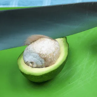 avocado with stone