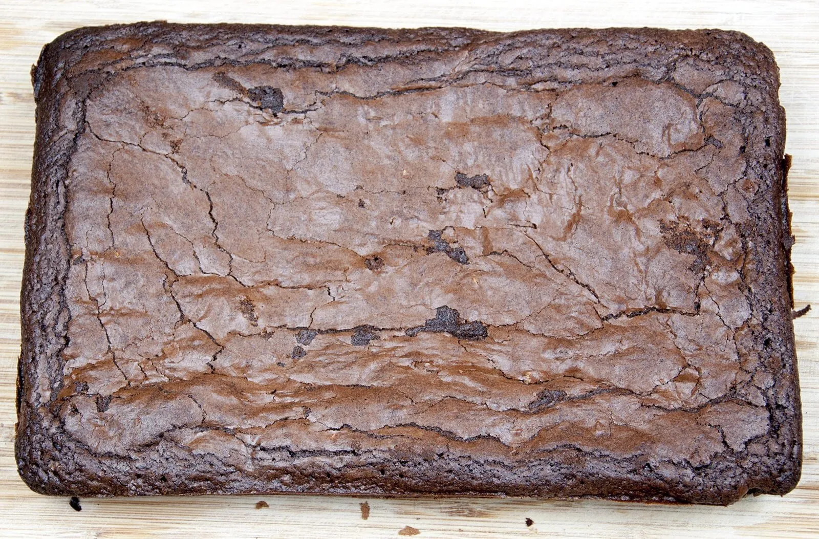 baked chocolate brownie