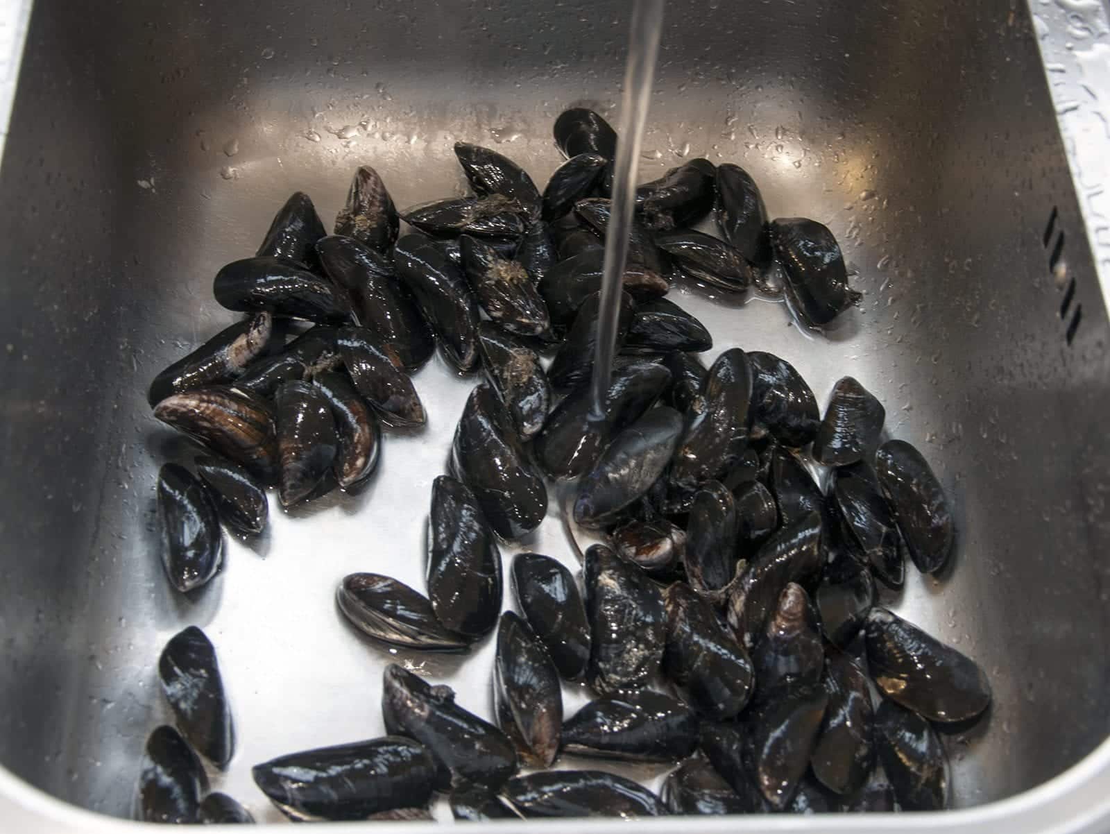 How to prepare a mussel. Make wonderful seafood recipes safely. Clean, debeard and sift out your dead mussels before cooking. | https://theyumyumclub.com