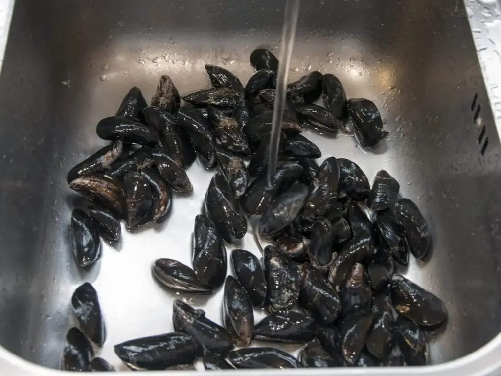 Mussels with white wine, garlic, parsley and cream. A classic moules mariniere recipe. This such a tasty seafood dish and so simple to make. If you ignore the cream it's even healthy ????!! | https://theyumyumclub.com