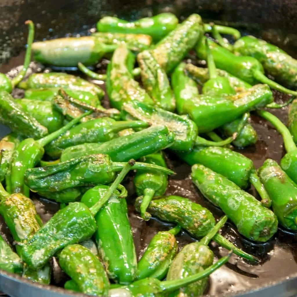 How to cook Pimiento Padron Peppers. The best and only Padron Pepper recipe you will need. 3 ingredients only and 5 minutes of cooking. So simple & so Yum! I just love this vegetarian and vegan recipe!! | https://theyumyumclub.com