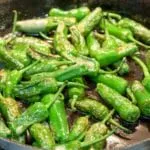 How to cook Pimiento Padron Peppers. The best and only Padron Pepper recipe you will need. 3 ingredients only and 5 minutes of cooking. So simple & so Yum! I just love this vegetarian and vegan recipe!! | https://theyumyumclub.com