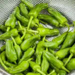 How to cook Pimiento Padron Peppers. The best and only Padron Pepper recipe you will need. 3 ingredients only and 5 minutes of cooking. So simple & so Yum! I just love this vegetarian and vegan recipe!! | https://theyumyumclub.com