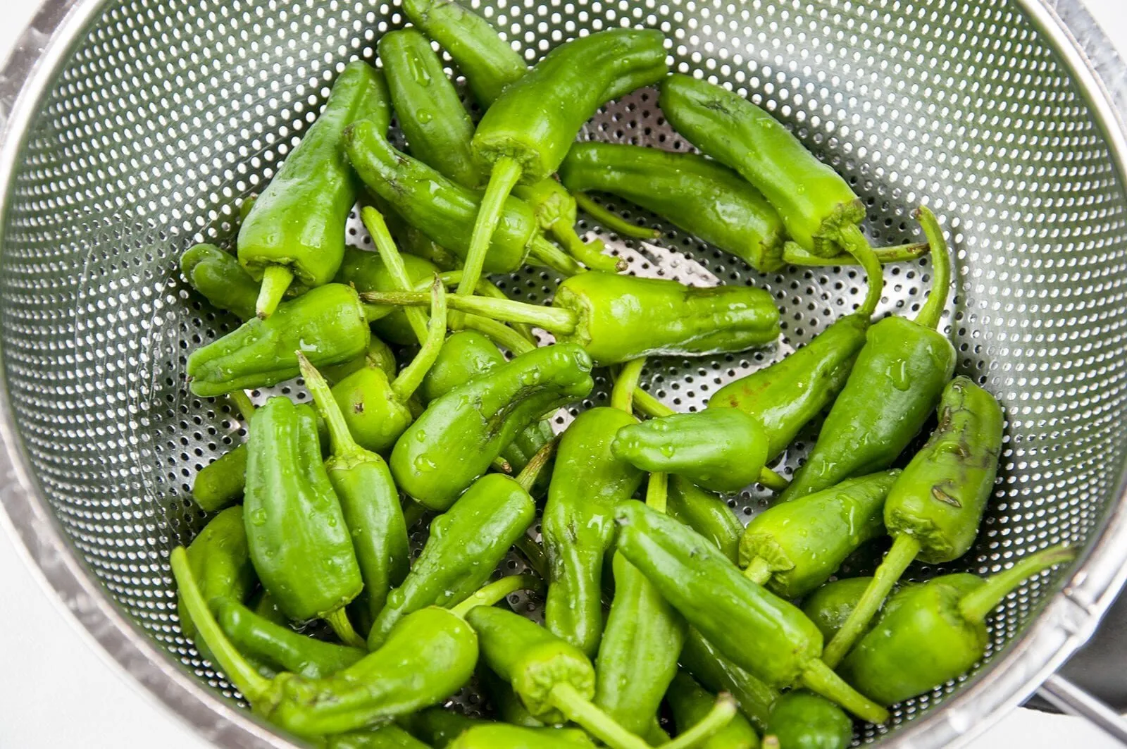 How to cook Pimiento Padron Peppers. The best and only Padron Pepper recipe you will need. 3 ingredients only and 5 minutes of cooking. So simple & so Yum! I just love this vegetarian and vegan recipe!! | https://theyumyumclub.com