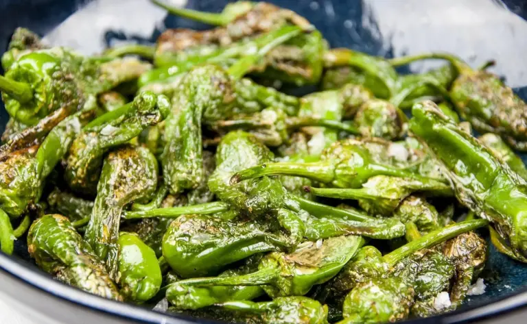 How to cook Pimiento Padron Peppers. The best and only Padron Pepper recipe you will need. 3 ingredients only and 5 minutes of cooking. So simple & so Yum! I just love this vegetarian and vegan recipe!! | https://theyumyumclub.com