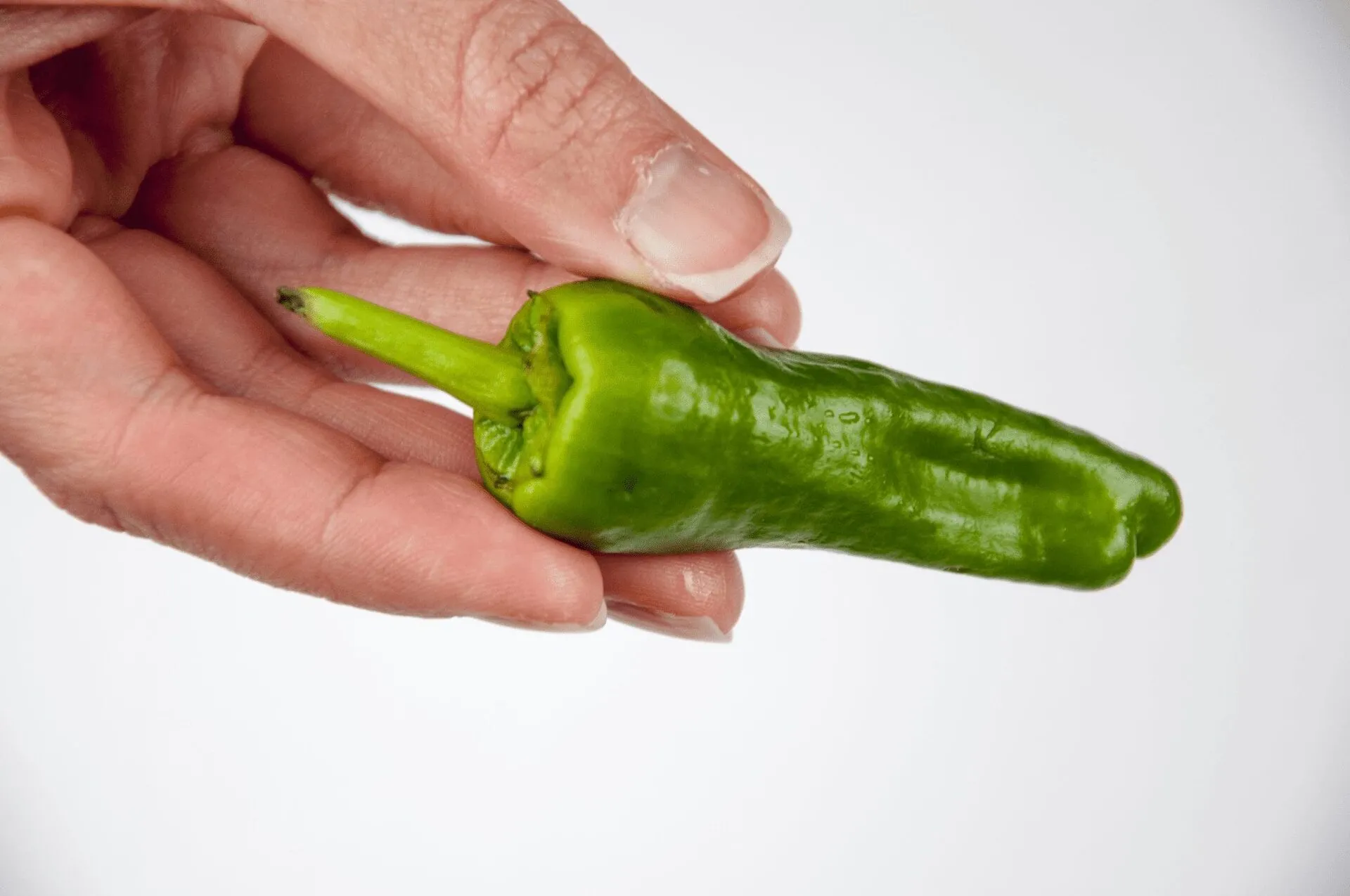 How to cook Pimiento Padron Peppers. The best and only Padron Pepper recipe you will need. 3 ingredients only and 5 minutes of cooking. So simple & so Yum! I just love this vegetarian and vegan recipe!! | https://theyumyumclub.com