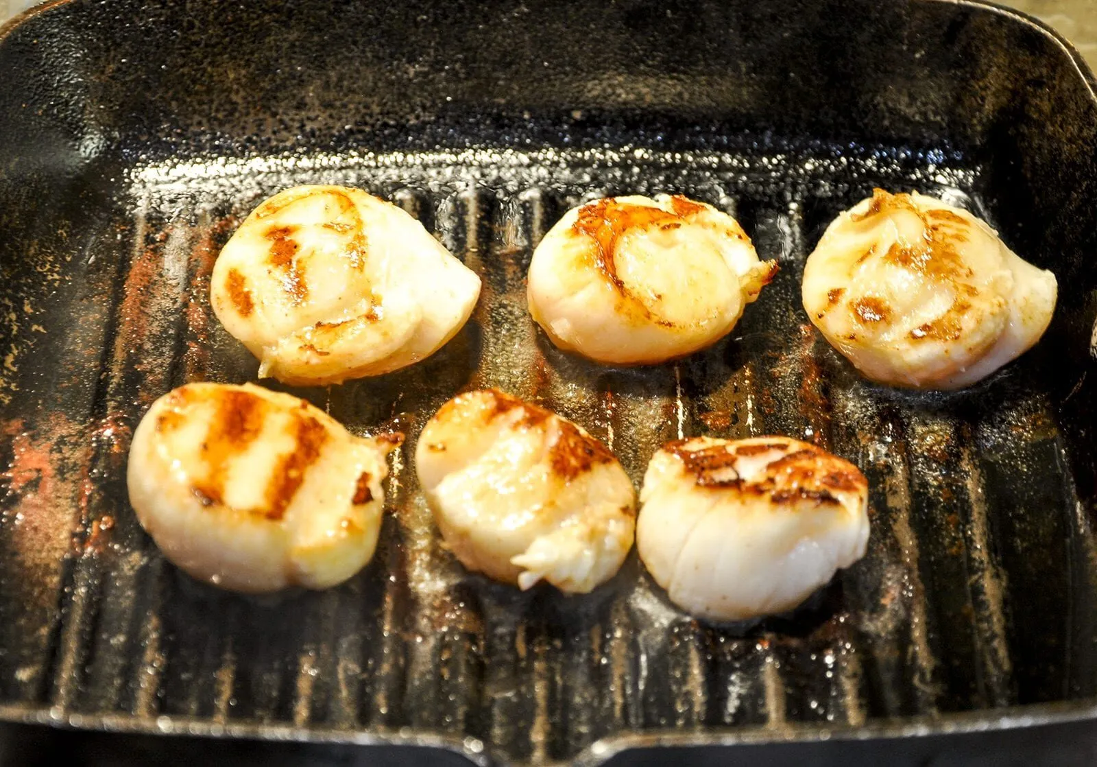 Pan-fried scallops with leek risotto! What a seafood recipe. Such a tasty dish & very versatile. Use any seafood with the risotto. Look at the cod here! Yum! | theyumyumclub