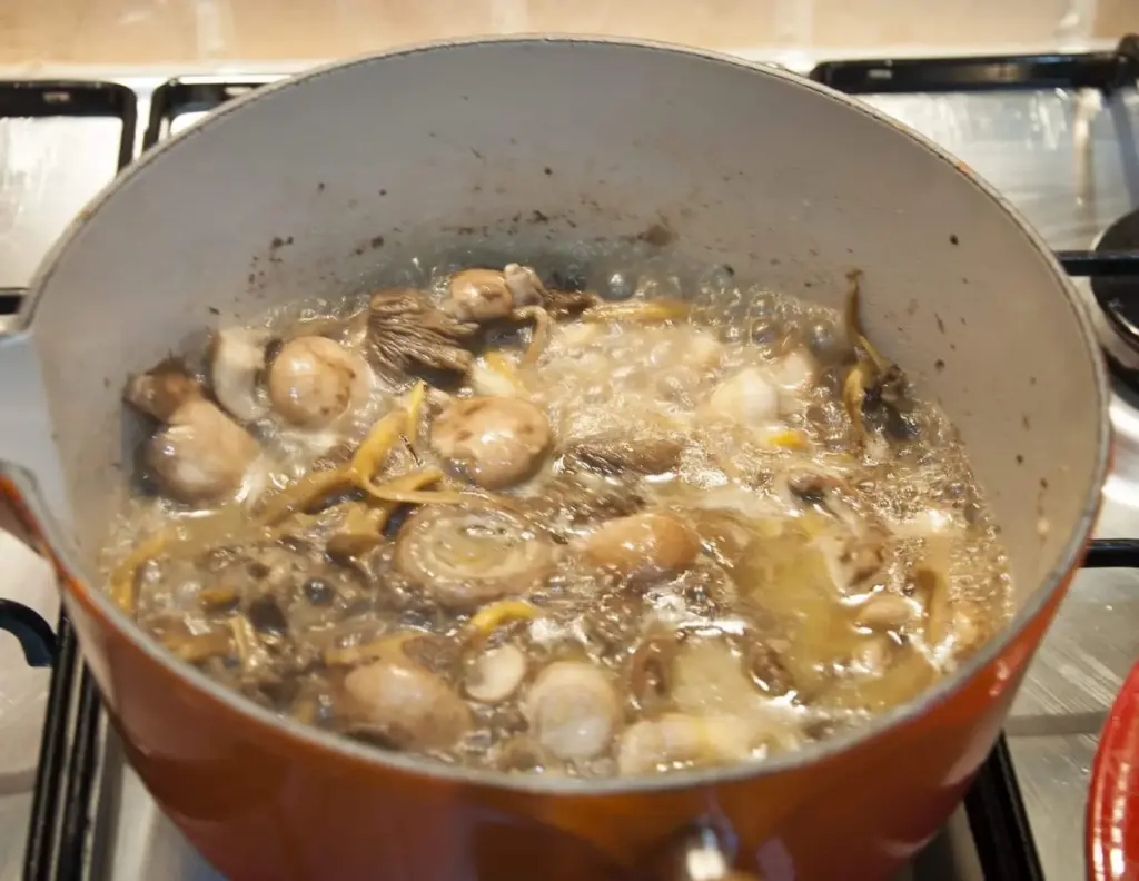 Wonderfully warming wild mushroom soup. Very easy to make and a fantastic winter lunch when served with some fresh crusty granary bread. Yum! theyumyumclub.com