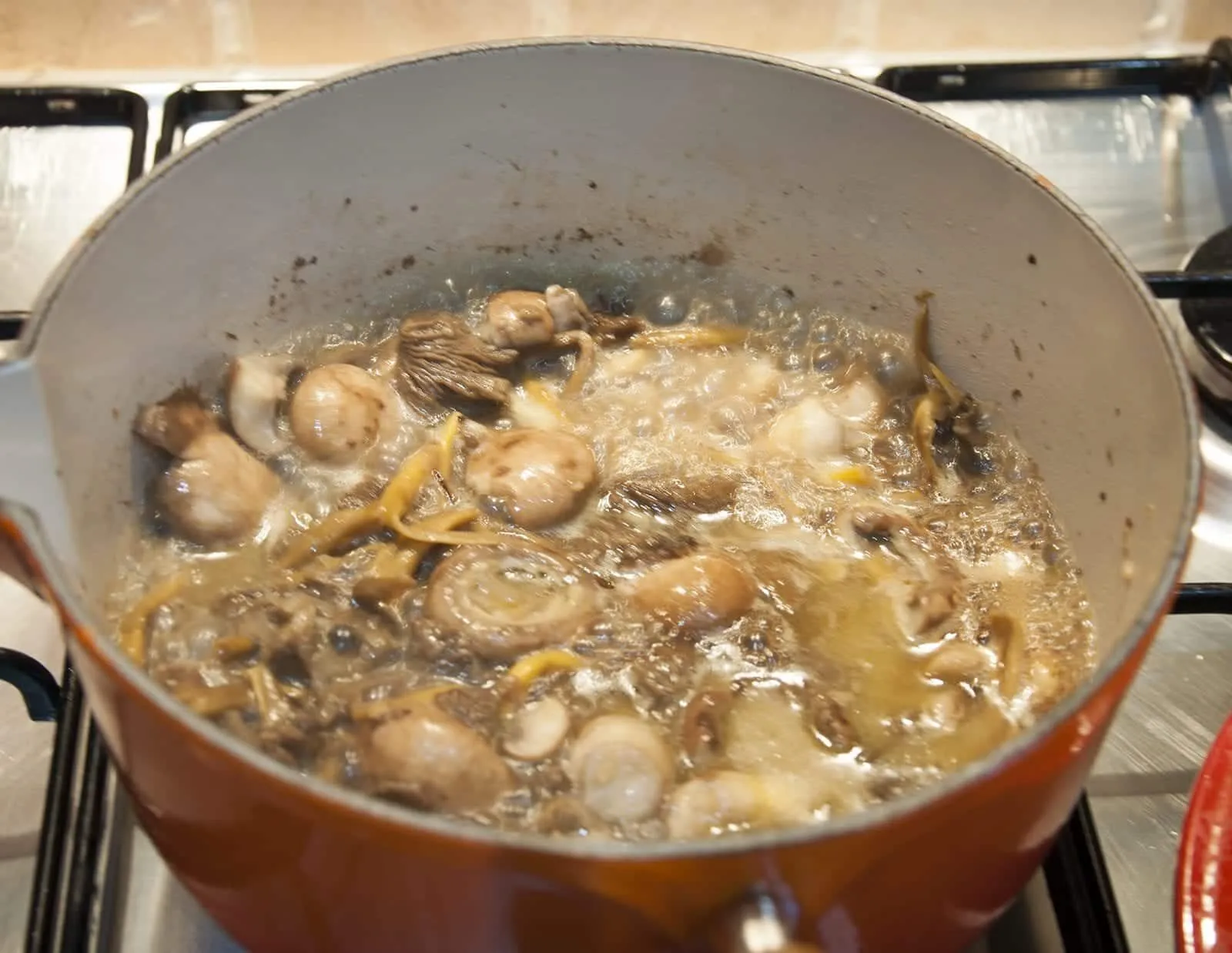 Wonderfully warming wild mushroom soup. Very easy to make and a fantastic winter lunch when served with some fresh crusty granary bread. Yum! theyumyumclub.com