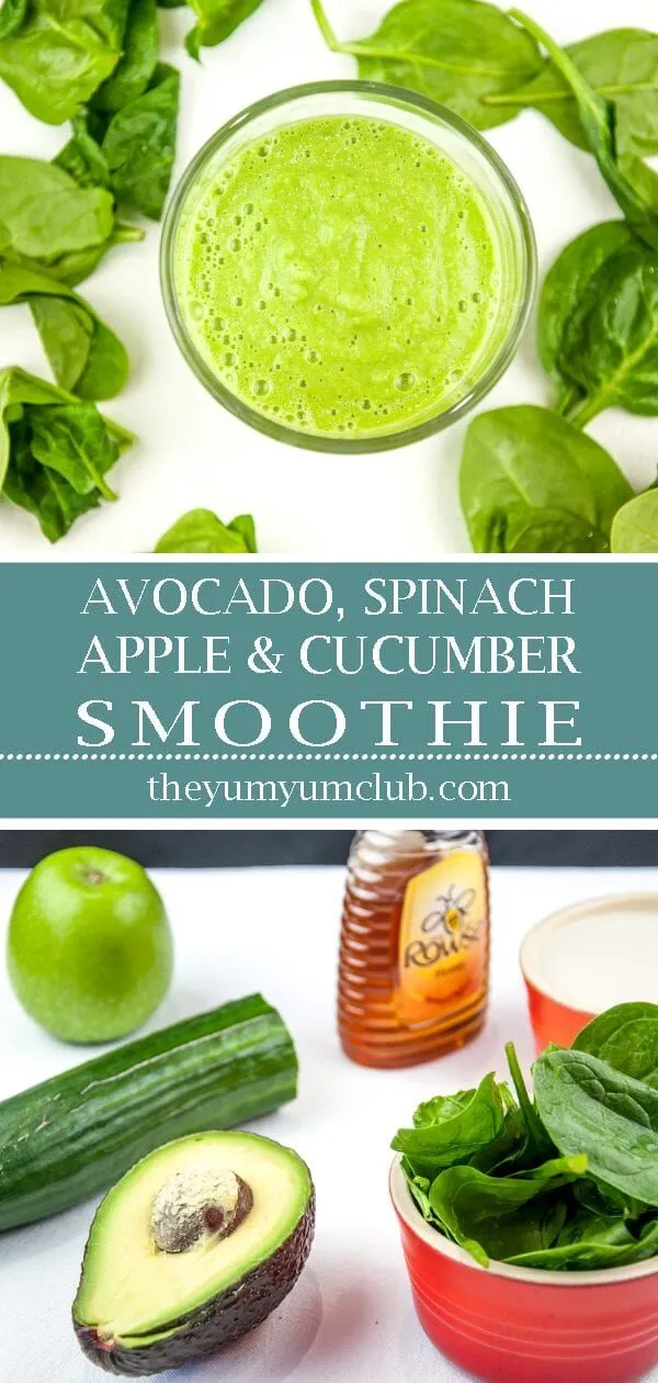 The Green Goddess is the ultimate green smoothie. Fresh green apple, avocado, spinach and cucumber. What a refreshing start to the day. Fantastic and yummy! | theyumyumclub.com