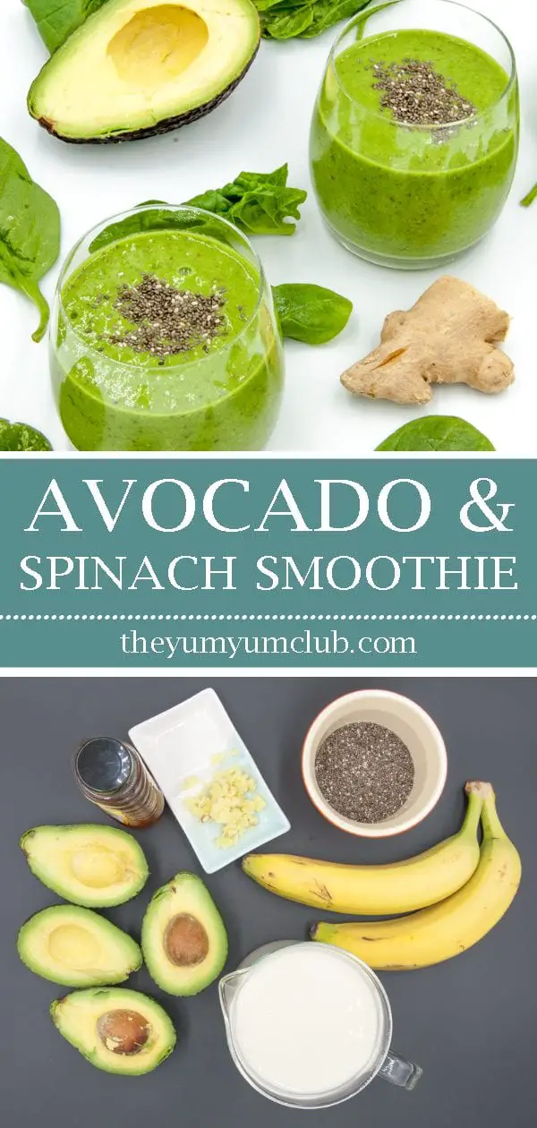 Avocado and spinach detox smoothie. But why detox? Because of the superfoods of ginger and chia seeds! All washed down with almond milk and honey. Yum! | theyumyumclub.com