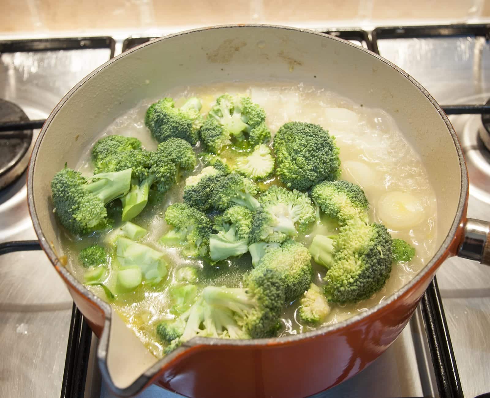 Classic broccoli and stilton soup. This is such a yummy soup recipe and so tasty. Healthy as well with all those veggies and a hint of creamy stilton. Yum! | theyumyumclub.com