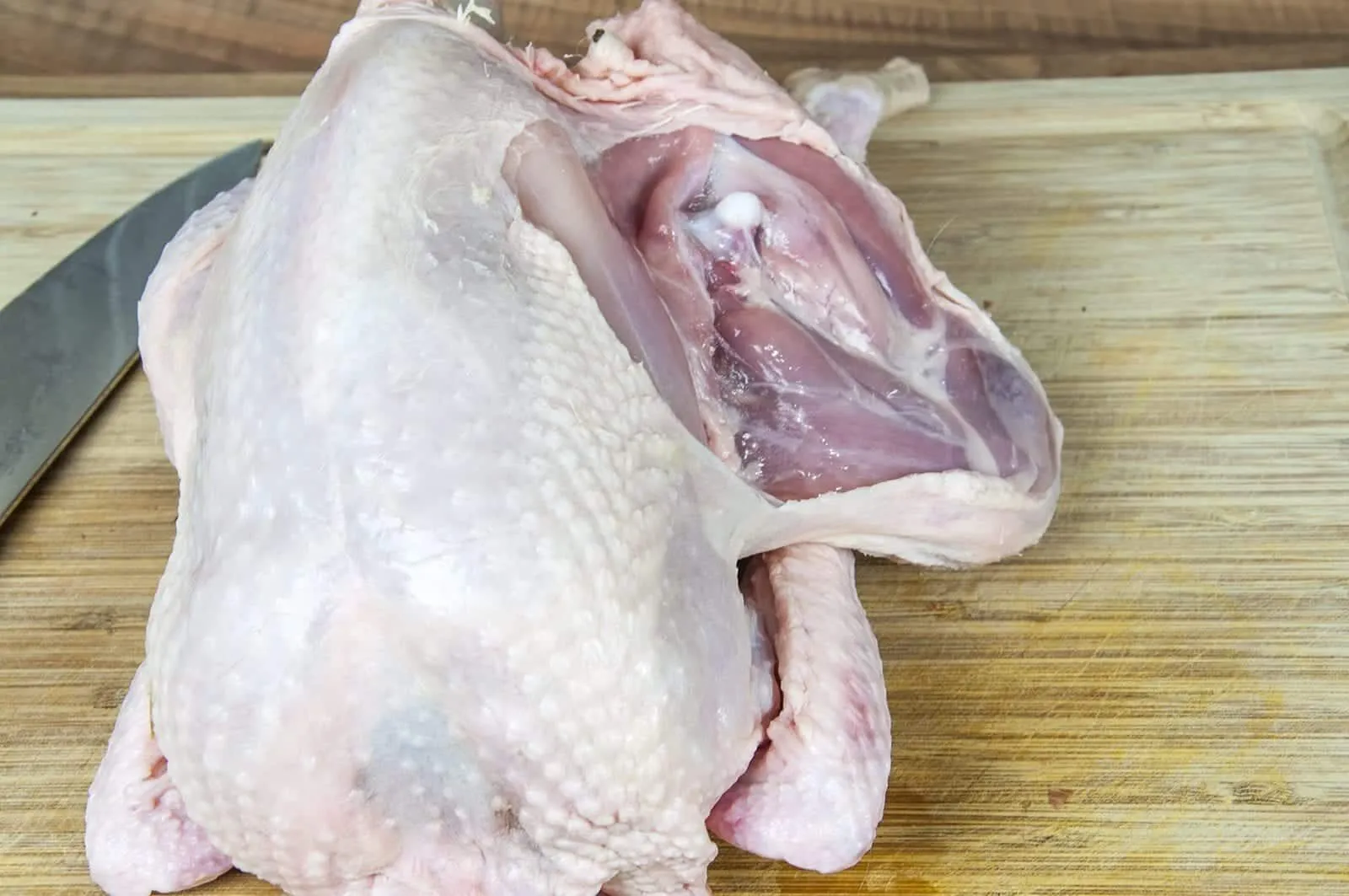 Classic coq au vin. A wonderfully rustic French casserole of chicken in red wine. Simple to make and very tasty. A great recipe for all of the family. Yum! | theyumyumclub.com
