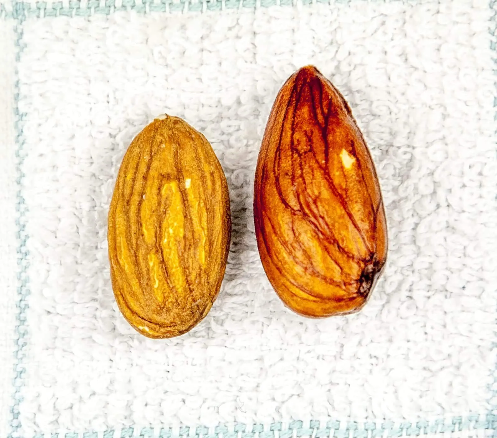 Ever wondered how to make your own almond milk? Believe me, it's easier than milking a cow! Diary free goodness in your own kitchen. And the kids can help too! | theyumyumclub.com