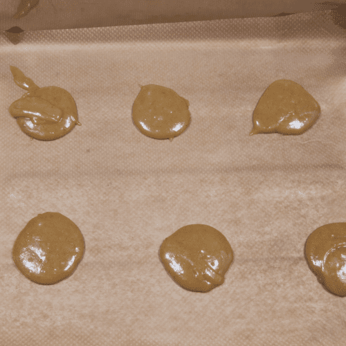 Ginger Brandy Snaps A delicious dessert or a sweet treat for the kids