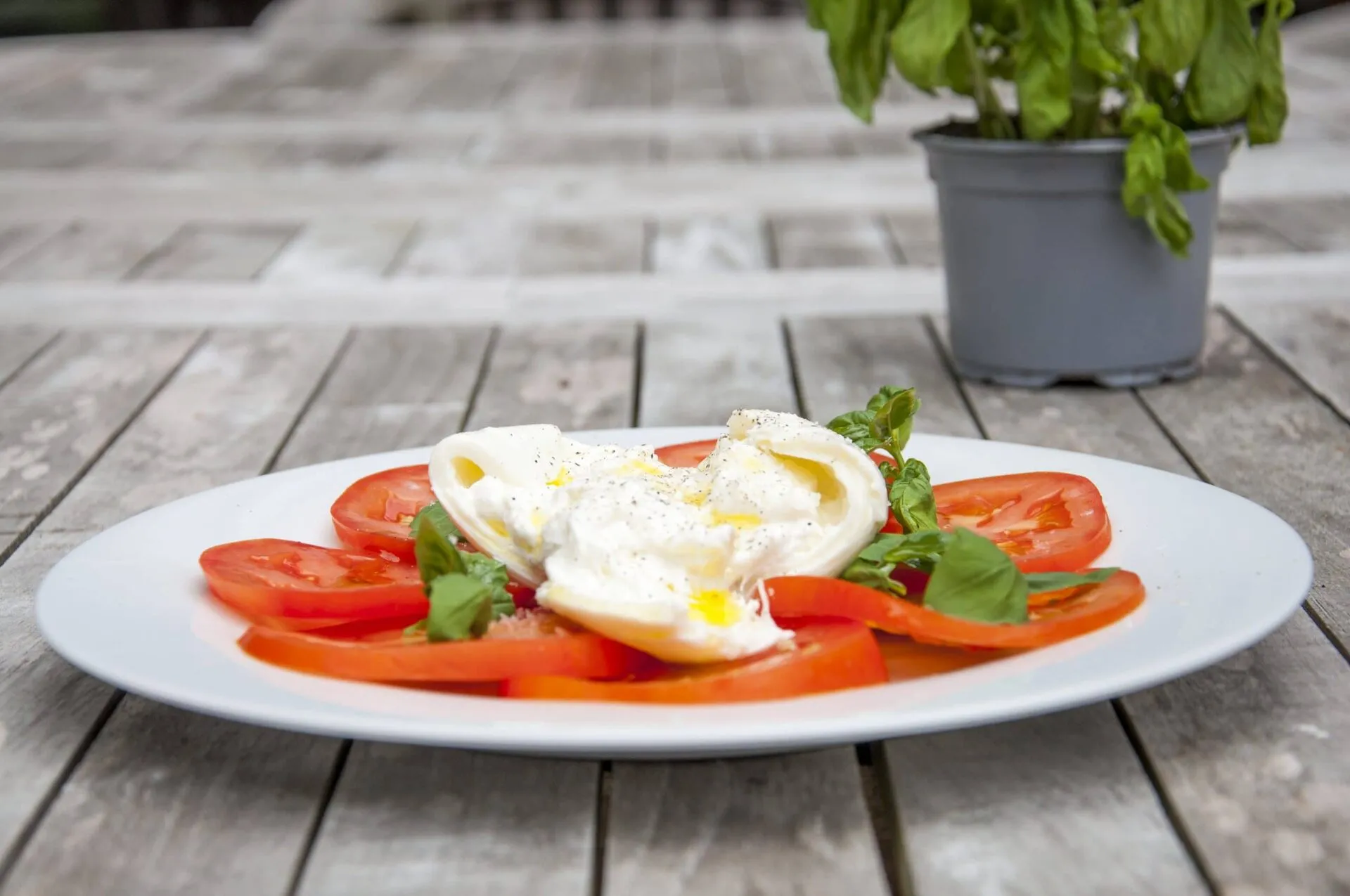 Burrata & Bull Tomato Salad | https://theyumyumclub.com/2019/07/25/burrata-bull-tomato-salad/