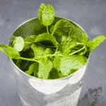 Marvelous Mint Julep Frappe| https://theyumyumclub.com/2019/07/03/marvellous-mint-julep-frappe/