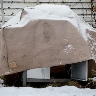 Focusing On The Right Options When Buying BBQ Covers