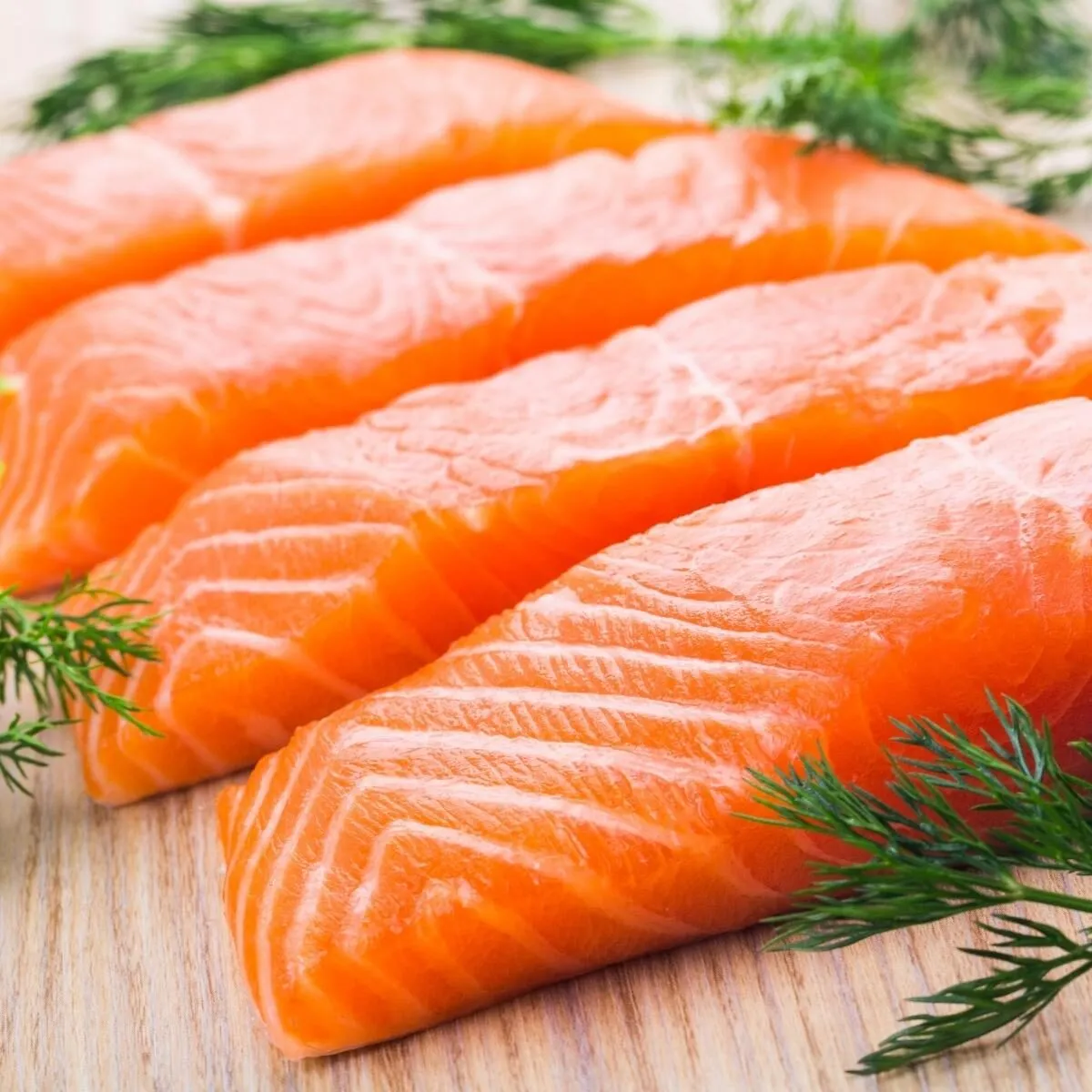 Salmon