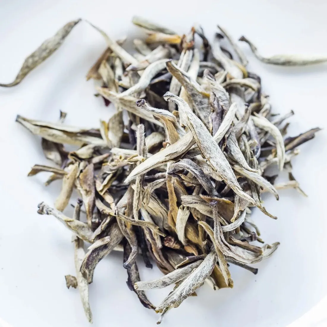 Turn to Loose Leaf White Tea Into Iced Tea